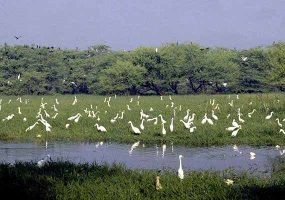 Viaggi a Bharatpur